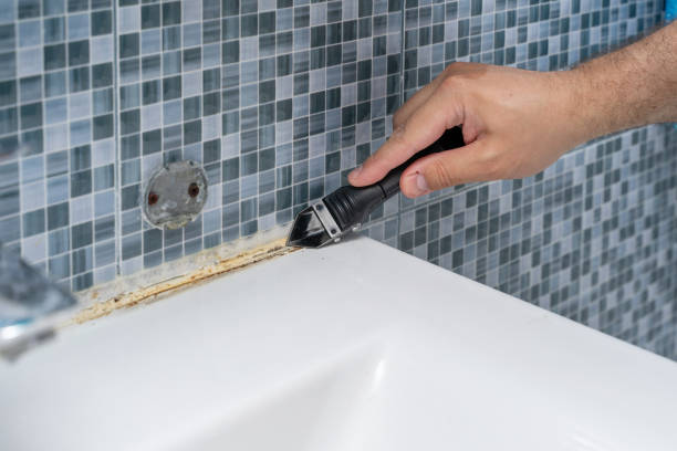 Best Mold Cleaning Services  in Park Forest, IL